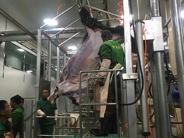 青海裕泰食品有限公司